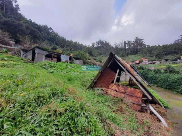 Terreno venda em Machico, Ilha Da Madeira