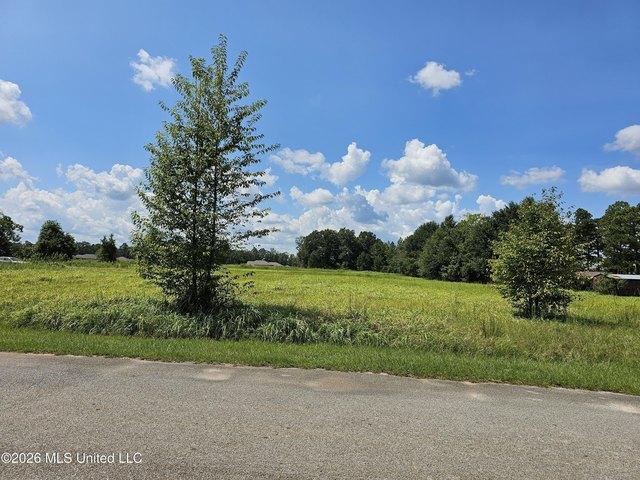 Land for sale in Lucedale, Mississippi