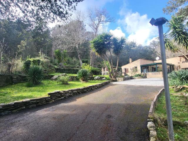 Maison vente à Bastia, Rogliano