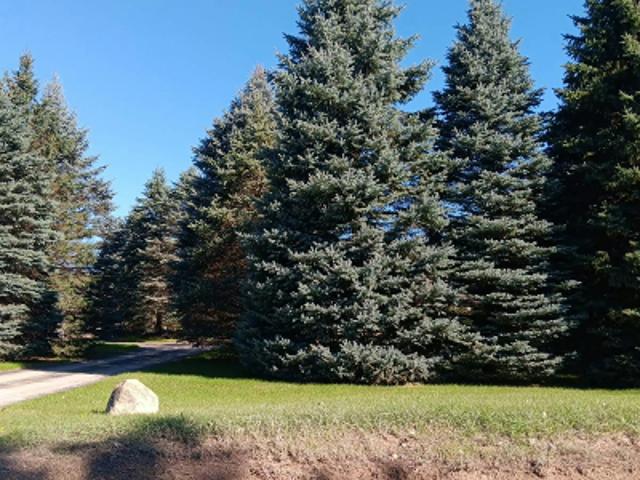 House for sale in Addison Township, Oakland County