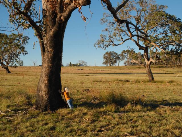 Property for sale in New South Wales