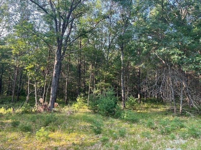 Land for sale in Oscoda, Michigan