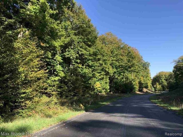 Land for sale in Michigan