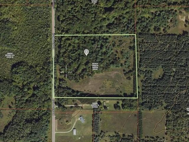 Land for sale in Leroy, Michigan