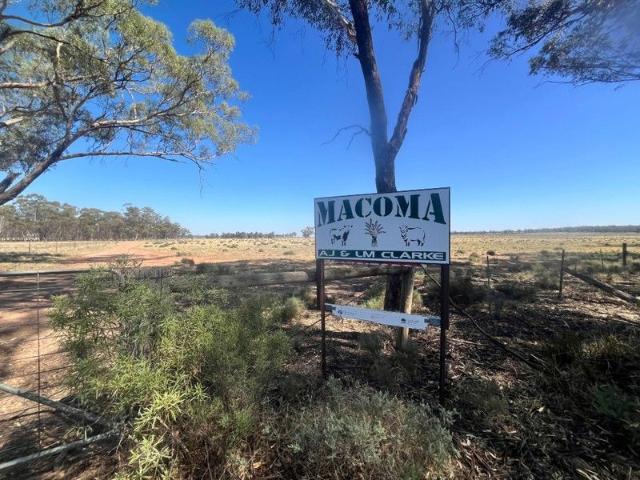 Cottage for sale in West Wyalong, New South Wales