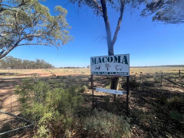 Cottage for sale in West Wyalong, New South Wales