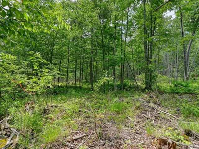 Land for sale in Readfield, Maine