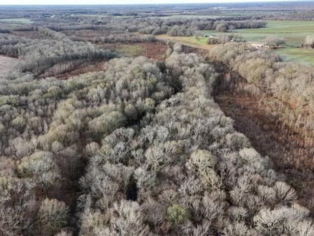 Land for sale in Oak Grove, Louisiana