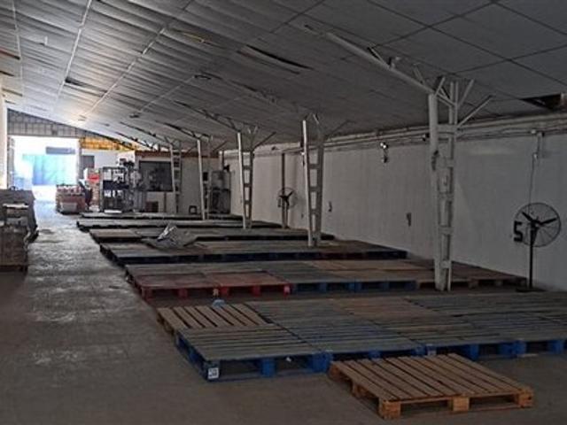 Macul, Obispo Arturo Espinoza con Los Plátanos