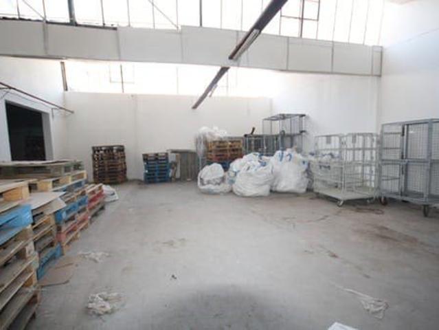 Macul, Obispo Arturo Espinoza con Los Plátanos