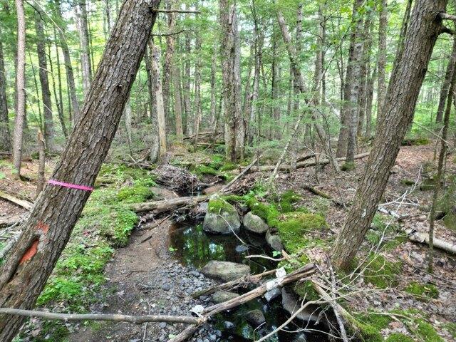 Land for sale in Burlington, Maine