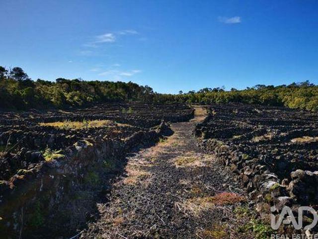 Terreno venda em Pombal, Leiria