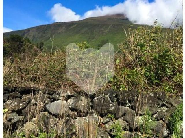 Terreno venda em Açores, Madalena