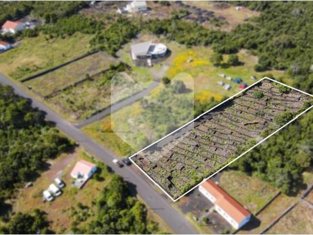 Terreno venda em Açores, Madalena