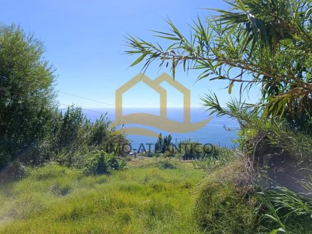 Terreno venda em Arco Da Calheta, Ilha Da Madeira