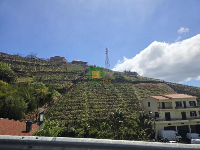 Terreno venda em Estreito de Câmara de Lobos, Câmara De Lobos