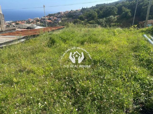 Terreno alugar em Machico, Ilha Da Madeira
