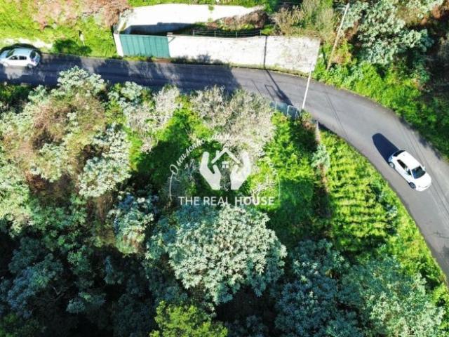 Terreno venda em Machico, Ilha Da Madeira