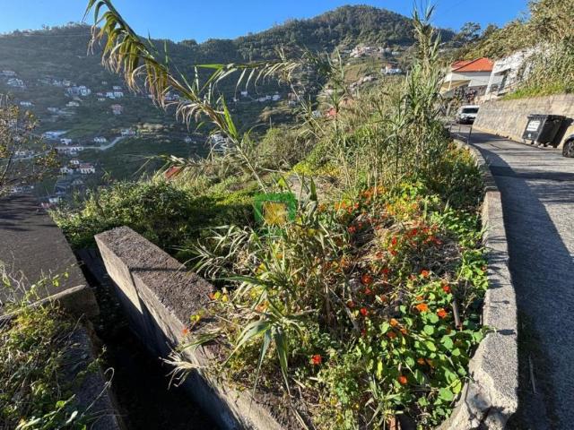 Terreno venda em Calhau da Lapa, Ribeira Brava