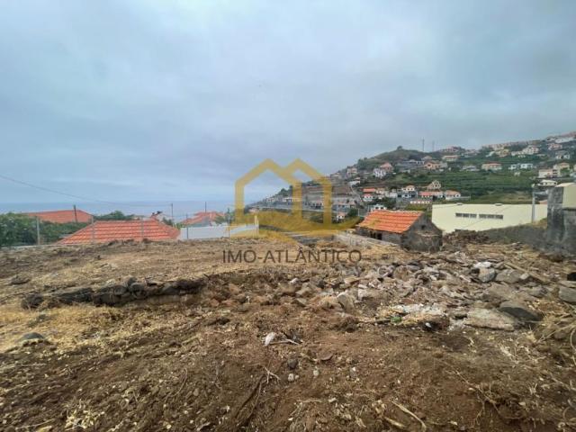 Terreno venda em Lombo Cesteiro, Ribeira Brava