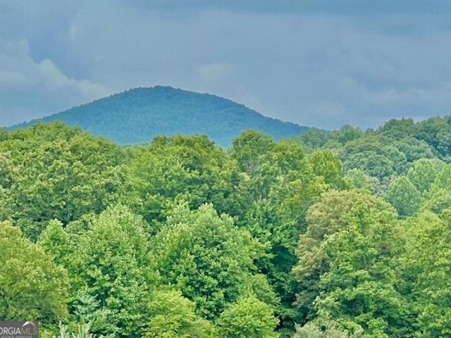 Land for sale in Blairsville