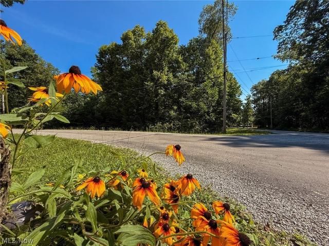 Land for sale in Ashland, Ohio