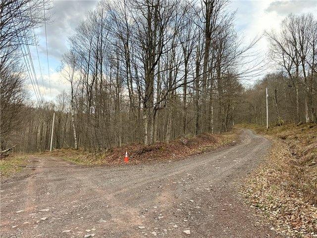 Land for sale in East Branch, New York