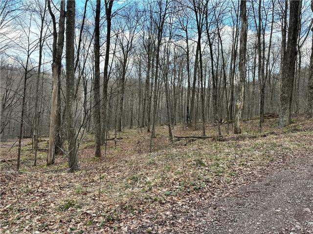 Land for sale in East Branch, New York