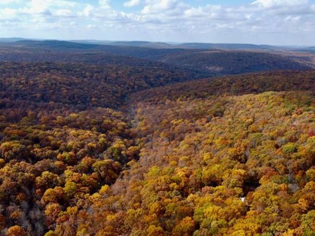 Land for sale in Ark