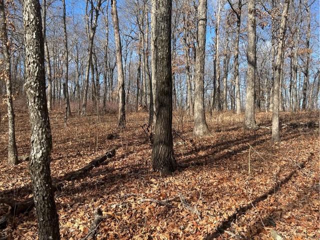Land for sale in Ark