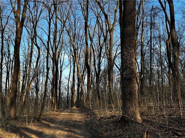 Land for sale in Ark