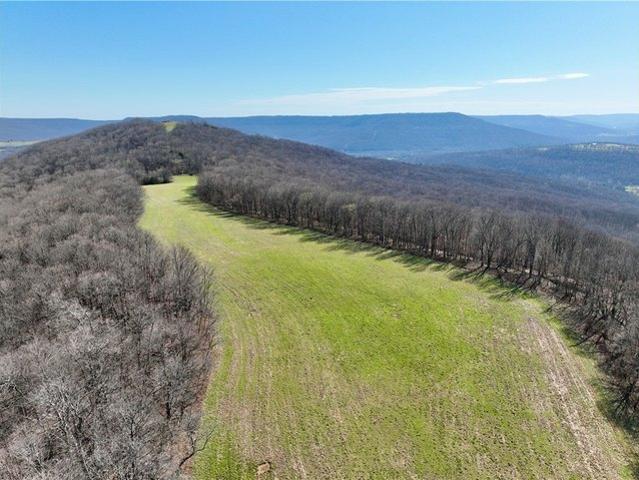 Farm for sale in Ark