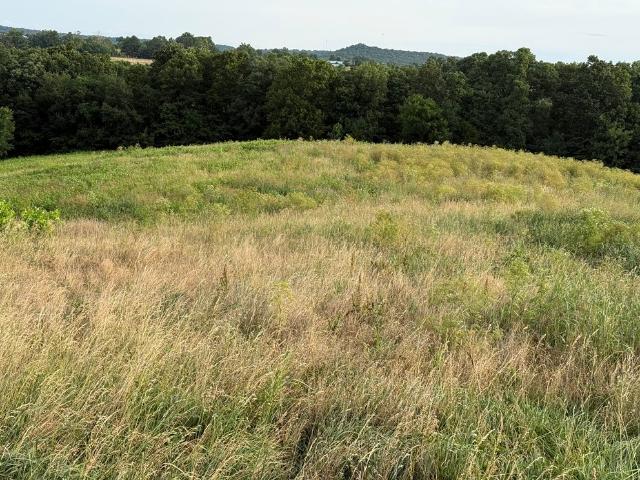 Land for sale in Ark