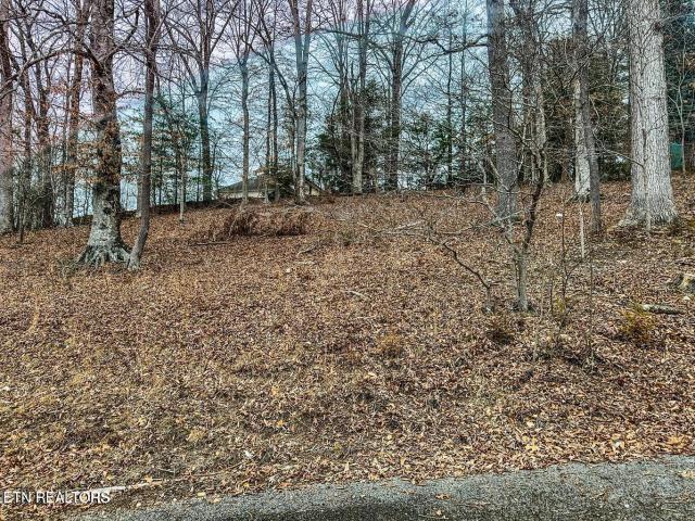 Land for sale in Tennessee