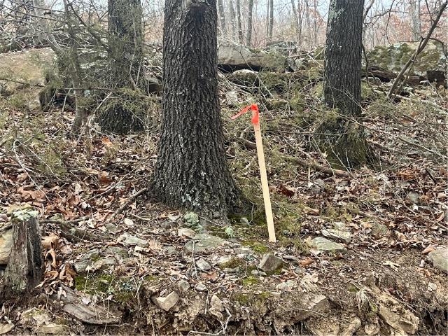 Land for sale in Ark