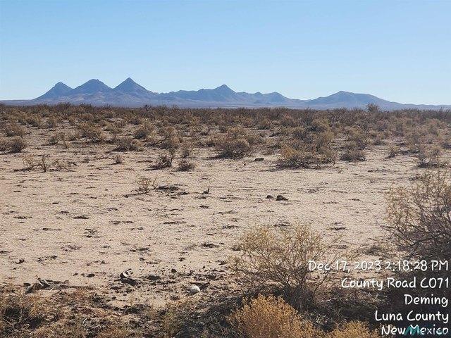 Land for sale in Luna, New Mexico