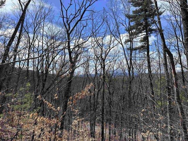 Land for sale in New Hampshire