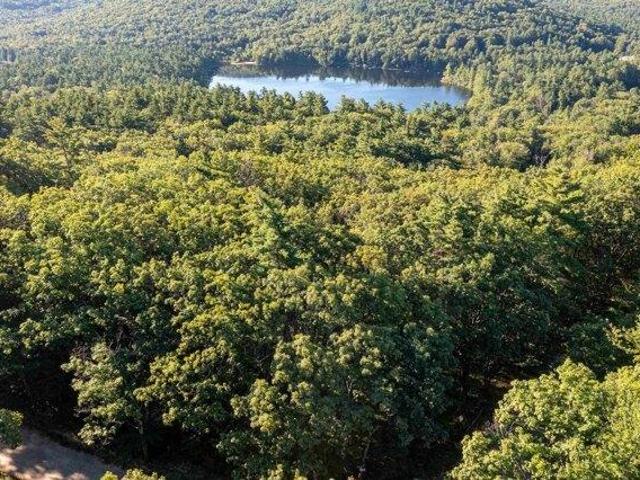 Land for sale in New Hampshire