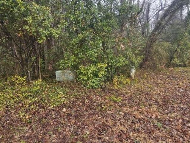 Land for sale in China Grove