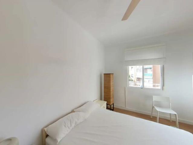 Apartamento en alquiler en Ciudad Lineal, Madrid