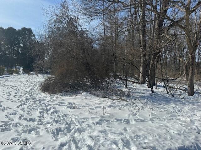 Land for sale in Bloomsburg, Pennsylvania