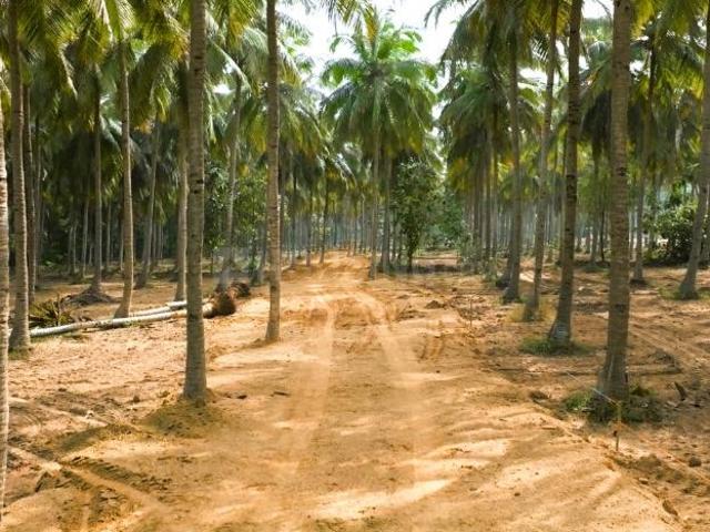Land for sale in Madurantakam, Tamil Nadu