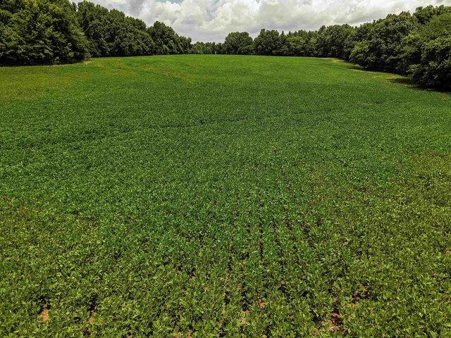 Land for sale in Tennessee