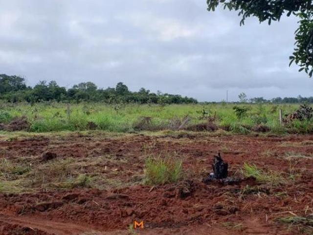 Sítio e chácara venda em Região Geográfica Imediata de Sorriso, Nova Ubiratã