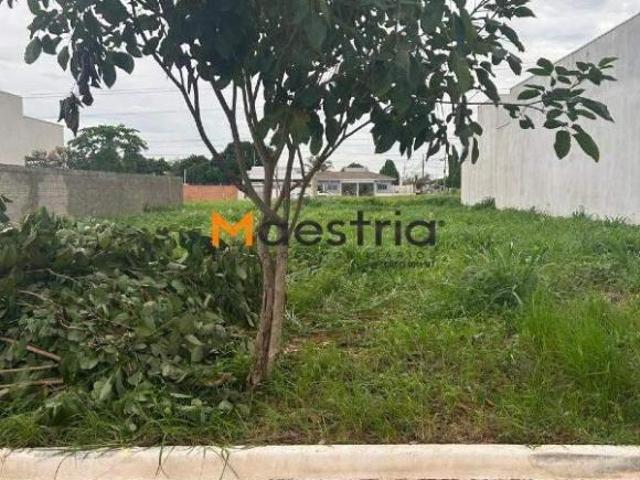 Terreno venda em Região Geográfica Imediata de Sorriso, Sorriso