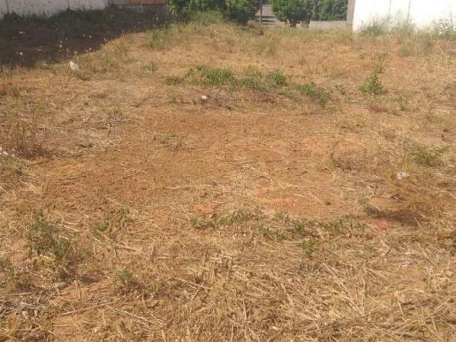 Terreno venda em Região Geográfica Imediata de Sorriso, Sorriso