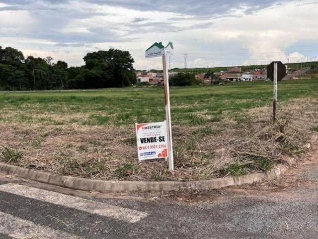 Terreno venda em Região Geográfica Imediata de Sorriso, Sorriso