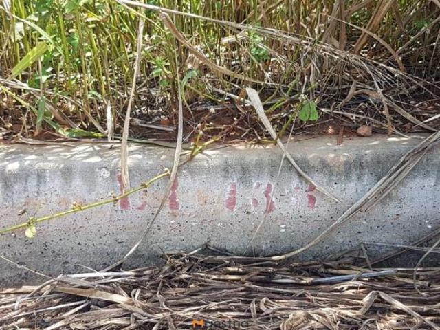 Terreno venda em Região Geográfica Imediata de Sorriso, Sorriso