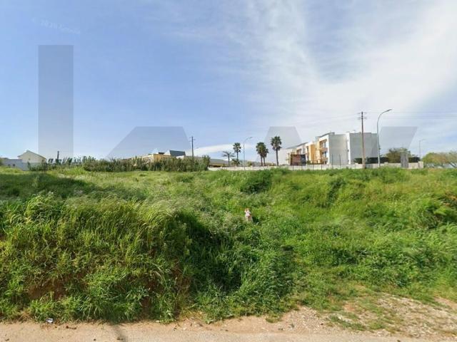 Terreno venda em Mafra