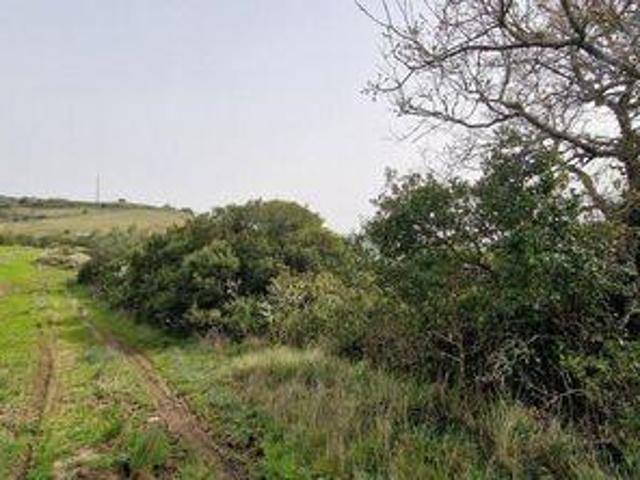 Terreno venda em Mafra, Lisboa
